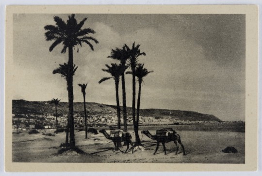 Haifa – general view and Mount Carmel