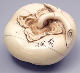 Katabori Netsuke, Persimmon 

Ohara Mitsuhiro (1810-1875) 

Signature: Mitsuhiro 

Ivory 

Bequest of A. Horodisch, Amsterdam 

Diameter: 4.5 cm, height: 2.2 cm