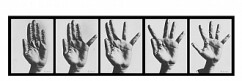 יוכבד וינפלד, נ. 1947 

אצבעות תפורות, 1975-1974  

תצלומים ש/ל 

 
