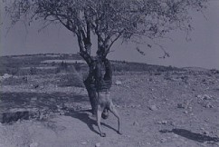 שמחה שירמן  נ. 1947 

ספן, אל המוות, 1989 (מתוך סדרה) 

צילום ש/ל 

5995.1-98