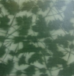 מוש קאשי, נ. 1967 

Blurred Leaves‏, 2006 

שמן על בד