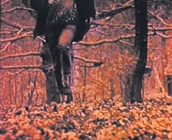 אברהם אילת, נ. 1939 

Run, חלק ב, 1971 

וידיאו, צולם ב־16 מ"מ 

3:24 דקות, ללא פסקול, צבע 

6173-05