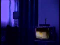 רן סלווין, נ. 1967
Hotel Rooms/Airport, 1996
וידיאו
ללא פסקול
6211-06