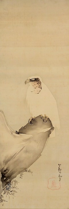 Eagle on a Cliff 
