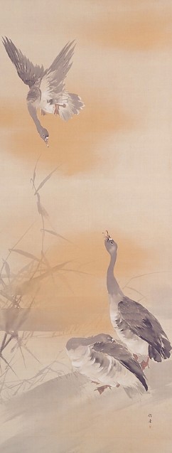 Geese