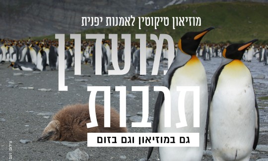 לפרטים ורכישת כרטיסים: