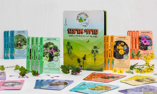 משחקים לכל הגילאים