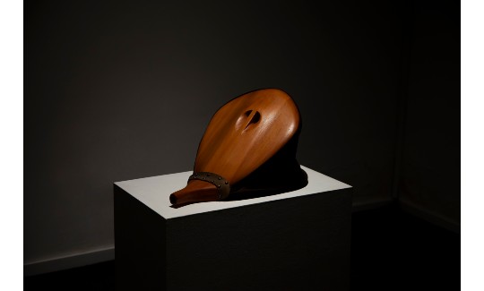 דור זליכה לוי, לשאוף, 2020