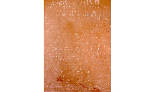 סופי דופון, קופנהגן, 26 למרץ