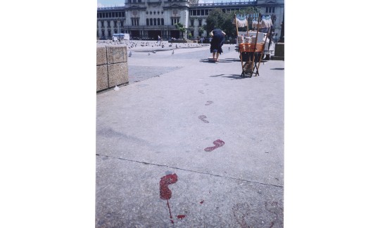 ⁨רחינה חוסה גלינדו, מי יכול