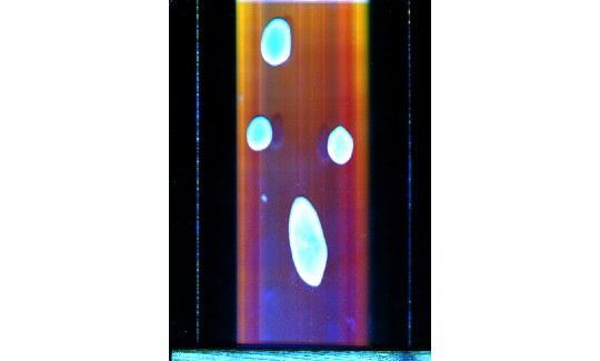 עלמה שניאור, לתפוס נשימה