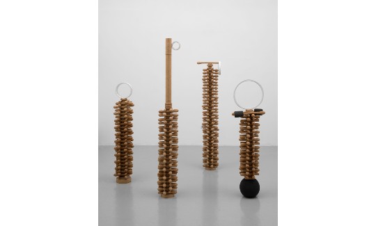 נגה יודקוביק-עציוני,נקודת