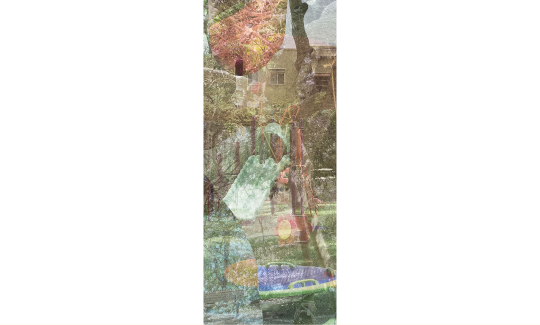 צילום: מאיה גרצפלד