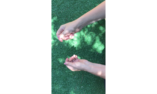 צילום: מאיה גרצפלד