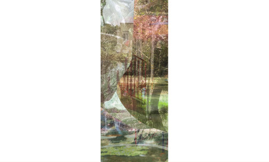 צילום: מאיה גרצפלד