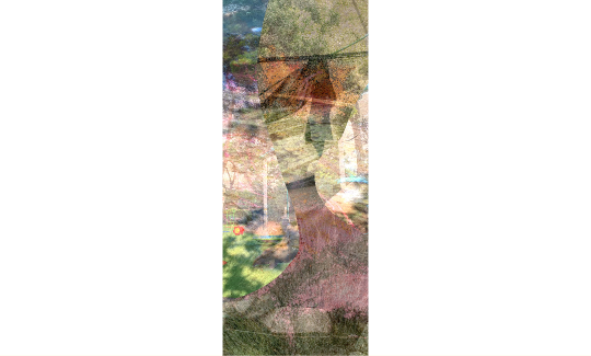צילום: מאיה גרצפלד