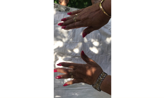 צילום: מאיה גרצפלד