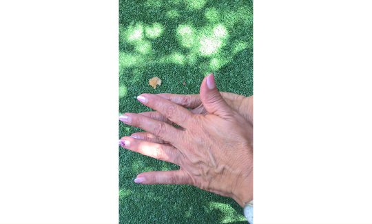 צילום: מאיה גרצפלד