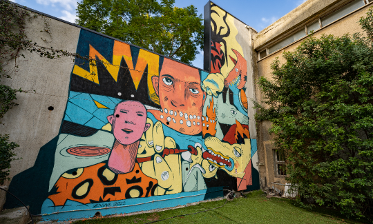 קרדיט: ג'ני כצנר