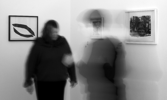 לילו אינשטייןצילום: ג'ני