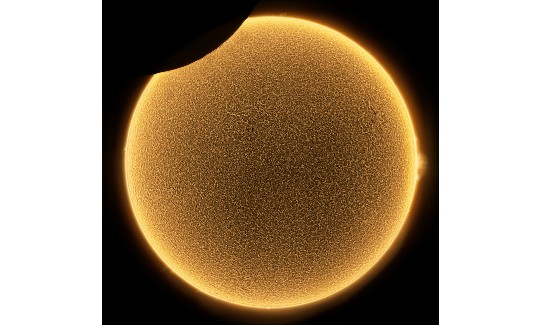 Partial Eclipse of the Sun in H-alpha ©