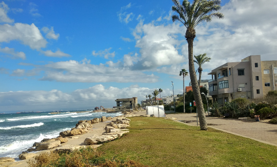 סיור "כרמל בים יבוא" - סיור