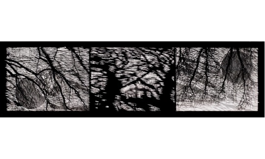 מאיה כהן לוי, ילידת 1955