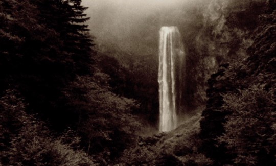 מיזונו קאצונורי, יליד 1982