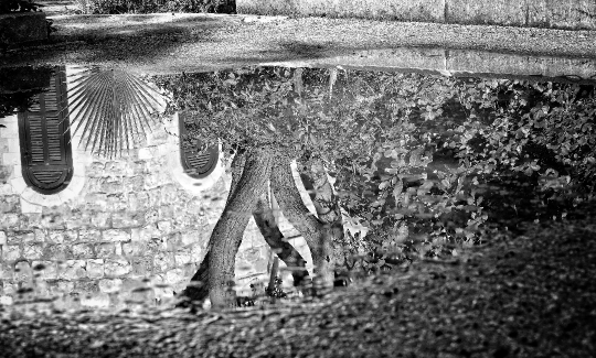 קרדיט: ג'ני כצנר