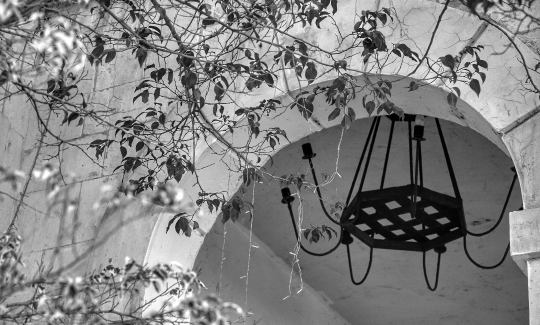 קרדיט: ג'ני כצנר