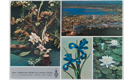 גלויה מתערוכת הפרחים ה-14