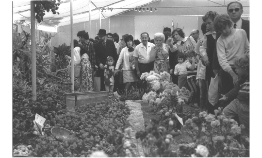 Посетители выставки