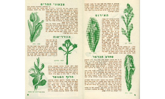 דע את חיפה עירך- חוברת שיצאה