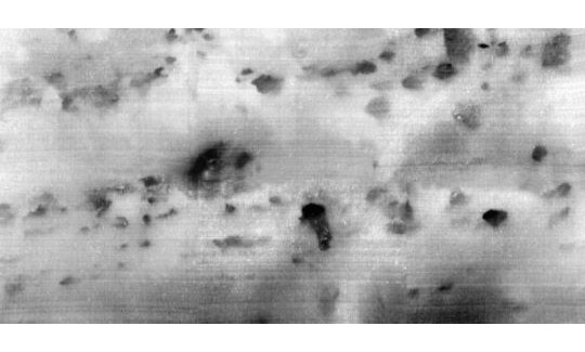 נטע לאופר, אבני אליהו, 2023