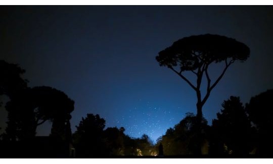 הישאם בראדה, ציפורים, 2014