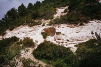 WADI