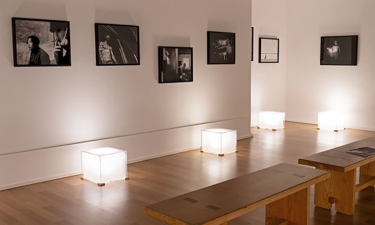 קרדיט: ג'ני כצנר