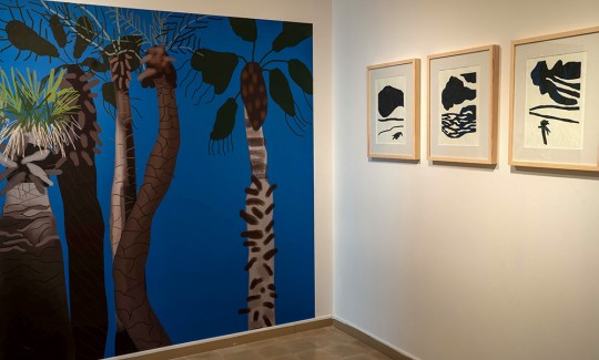 קרדיט: ג'ני כצנר