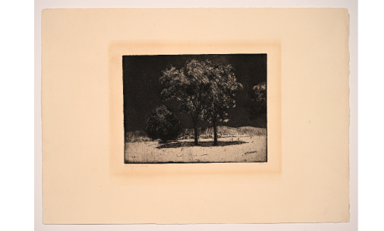 איטליה, שנות ה-20 אקווטינטה