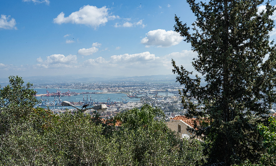 קרדיט: ג'ני כצנר