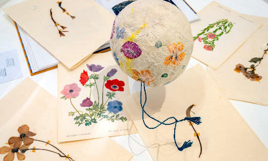 קרדיט: ג'ני כצנר