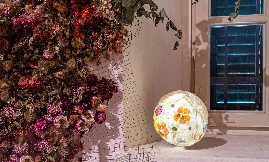 קרדיט: ג'ני כצנר