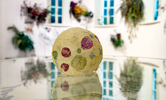 קרדיט: ג'ני כצנר