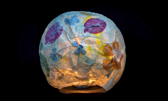 קרדיט: ג'ני כצנר