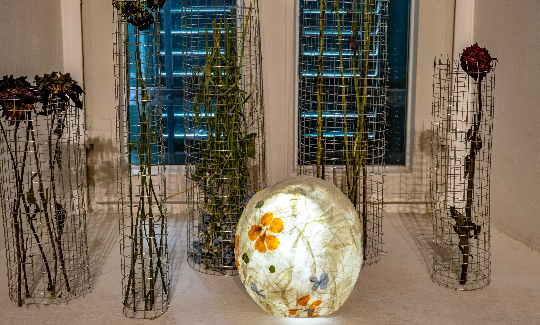 קרדיט: ג'ני כצנר