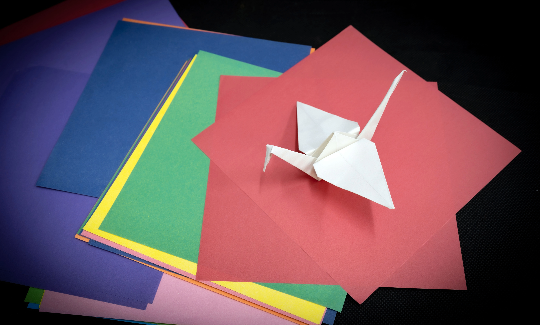 קרדיט: צ'ני כצנר