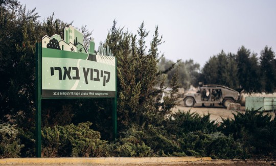 צילום: מיכה בריקמן