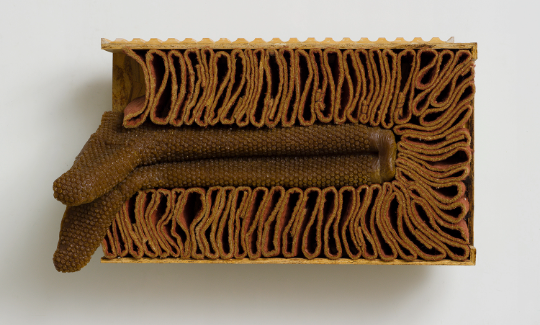 אוריאל מירון, דריסת רגל, 1998