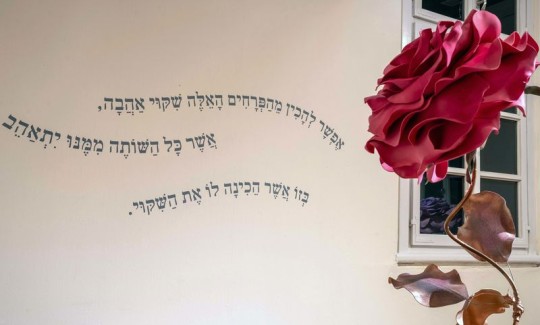 קרדיט: ג'ני כצנר