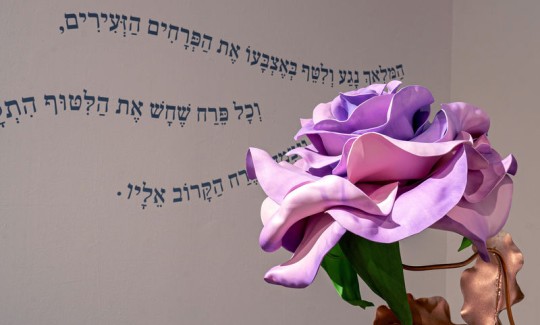 קרדיט: ג'ני כצנר